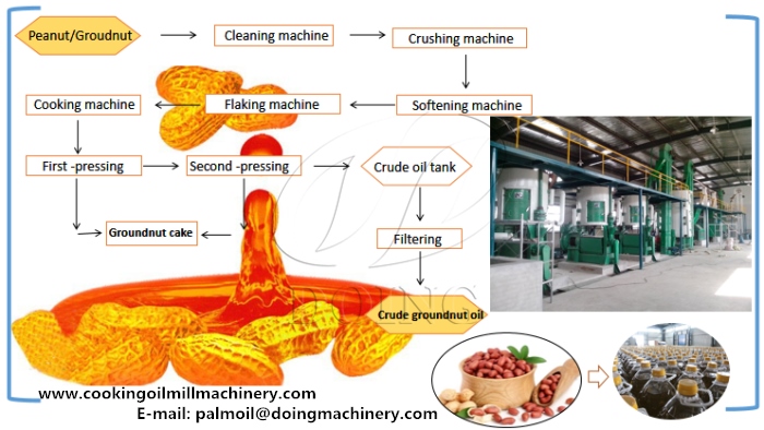 Quy trình sản xuất dầu đậu phộng