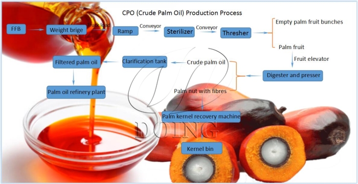 quy trình sản xuất dầu cọ