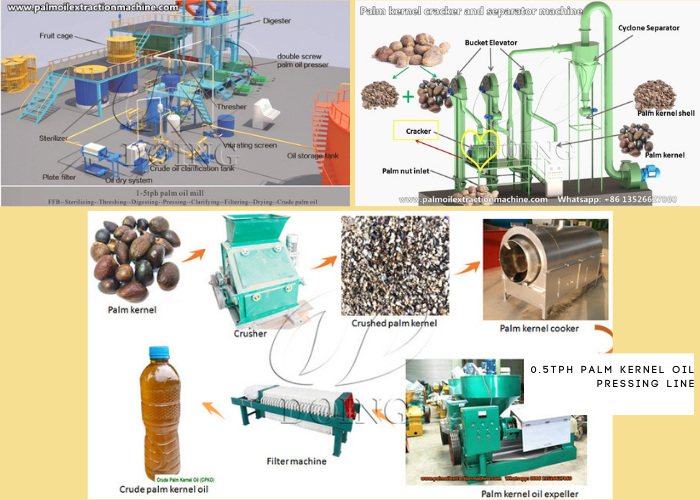 Dây chuyền ép dầu cọ 3tph, máy tách vỏ và bẻ hạt cọ 2tph và dây chuyền ép dầu hạt cọ 0,5tph