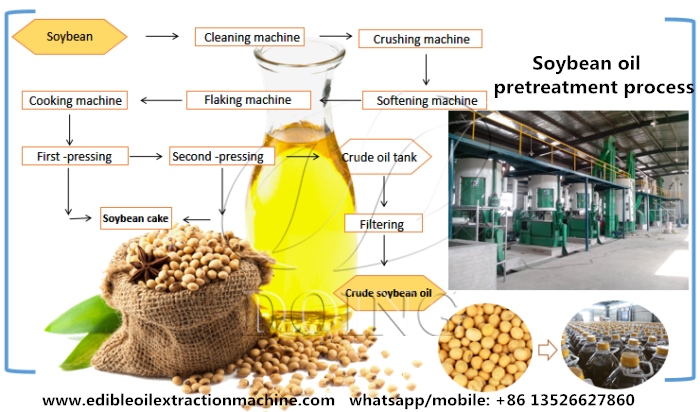 Quy trình sơ chế và tiền xử lý dầu đậu nành. Chart.jpg