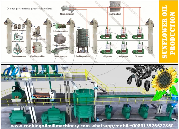 thiết kế palnt sản xuất dầu hướng dương