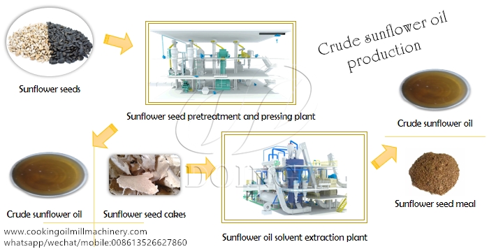 quy trình sản xuất dầu hướng dương